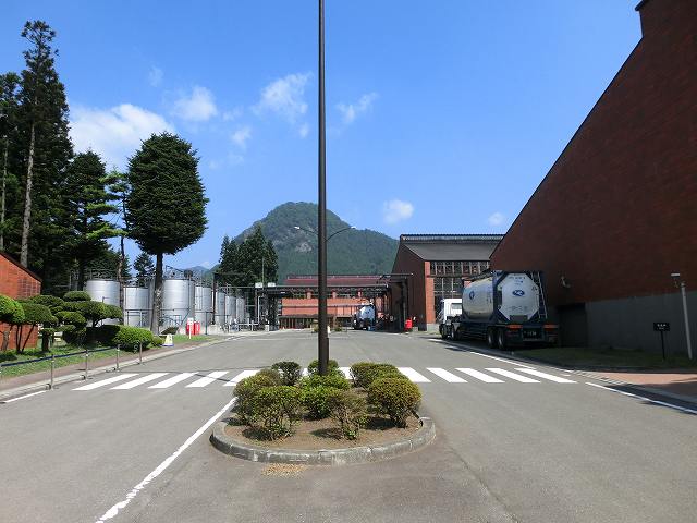 CIMG9526.jpg