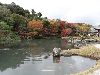 天竜寺５.jpg