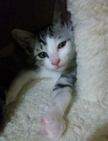 20120618_4.jpg