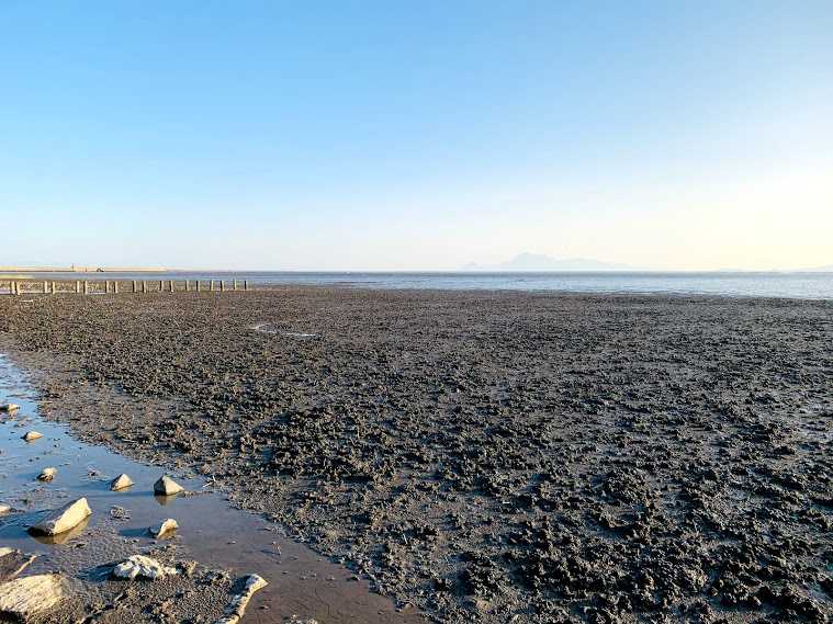 佐賀県佐賀市 『ラムサール条約湿地 東よか干潟、シチメンソウ群生地