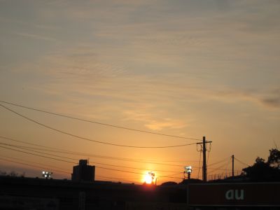 IMG_8711.JPG