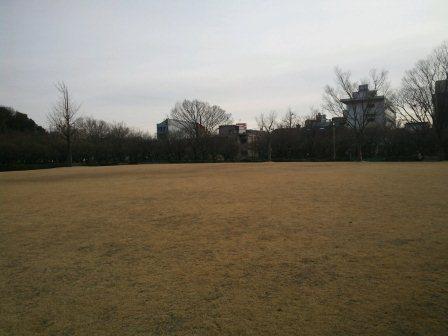 写真.JPG