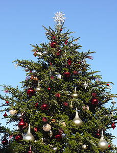 バカラクリスマスツリー