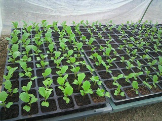 2012040111450000.jpg