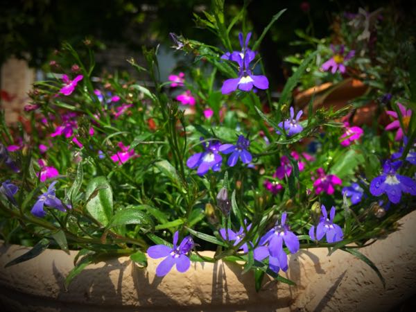 rblog-20160430164719-04.jpg