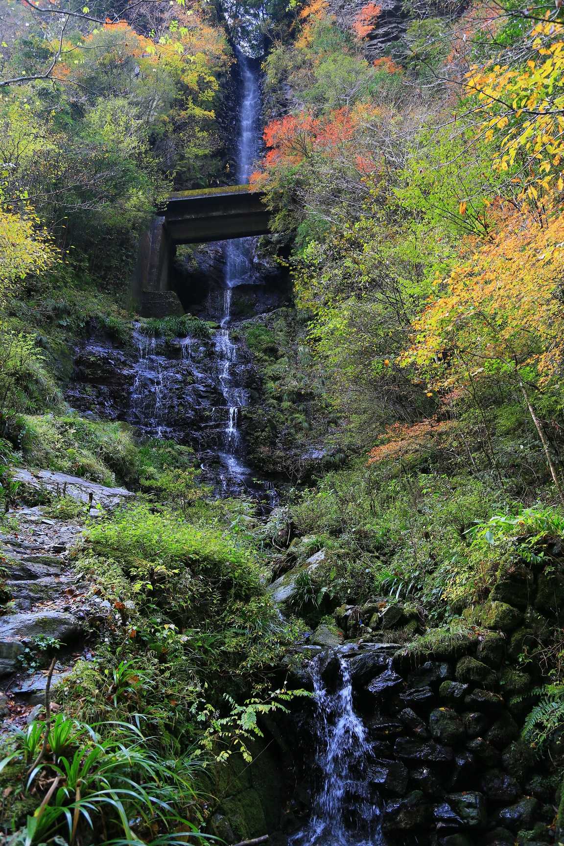 紅葉21 安居渓谷 背龍の滝 Web写真館作者のブログ 楽天ブログ