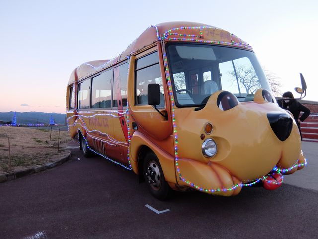 マザー牧場1517.jpg