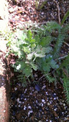 rblog-20140331112738-00.jpg