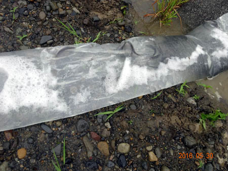 T03.jpg