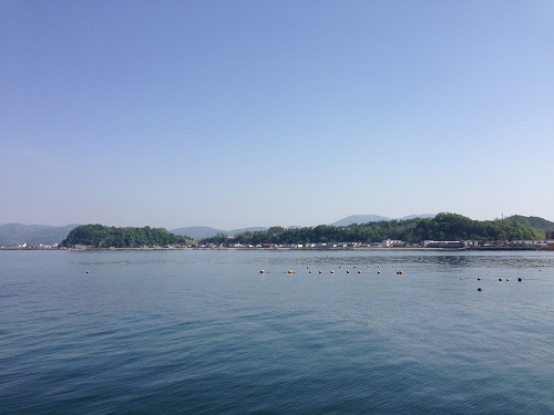 2017-05-20 14.41.49.jpg