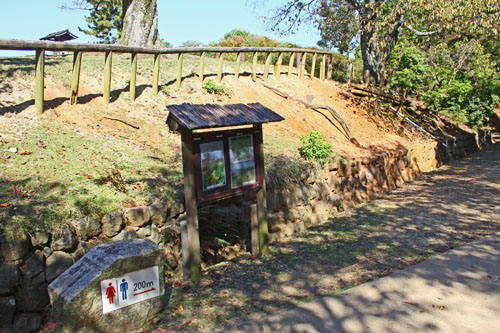 若草山　27.10.19-5_edited-1.jpg