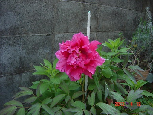 DSC01045.JPG
