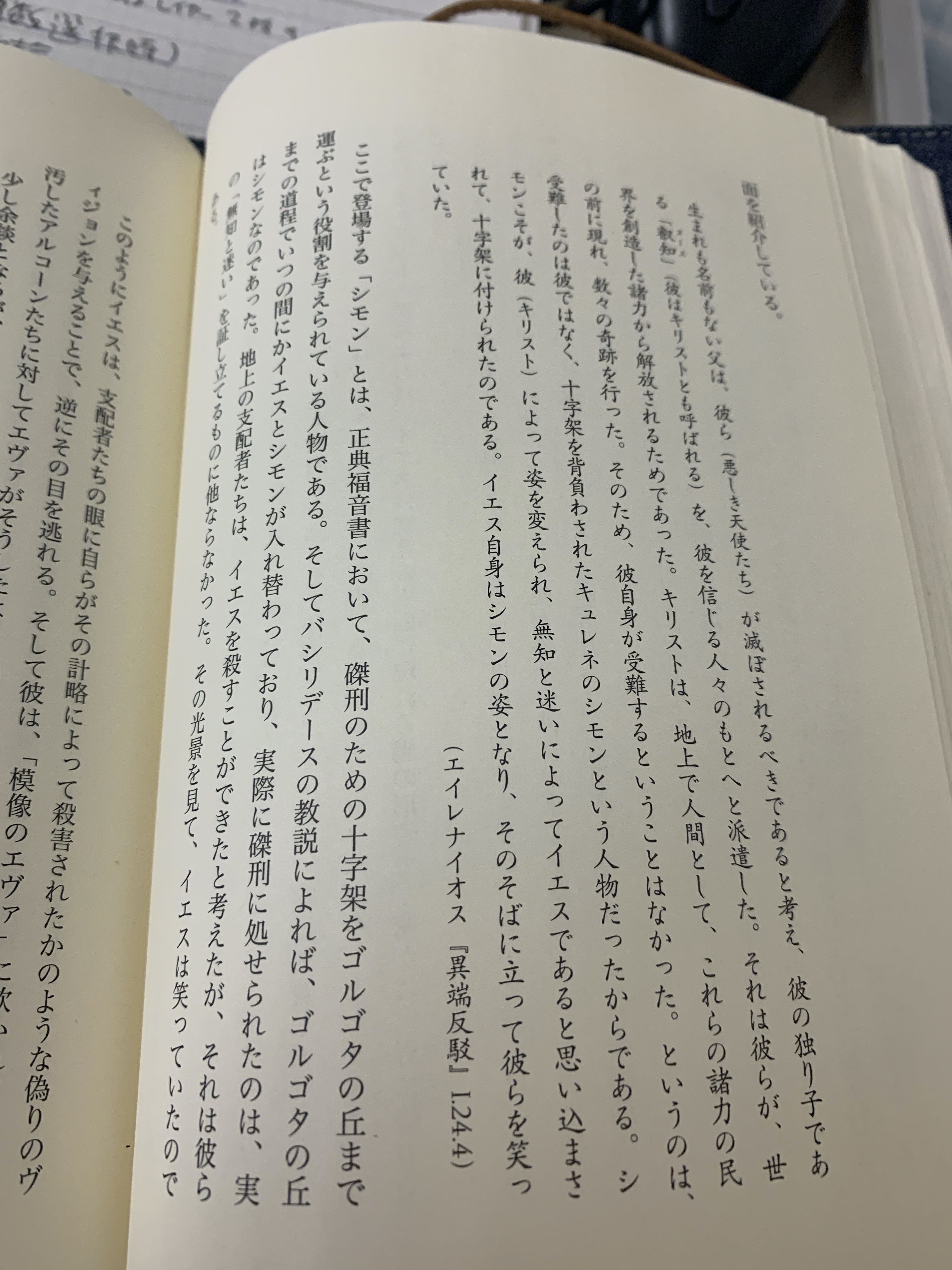 大田俊寛 グノーシス主義の思想 父 というフィクション エデンの南 楽天ブログ