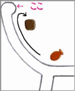 ここがポイント！