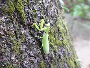 2014年10月12日 (2)