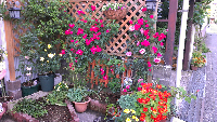 rblog-20130604213442-00.png