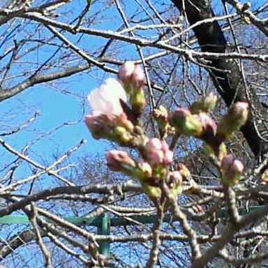 rps20130321_224809.jpg