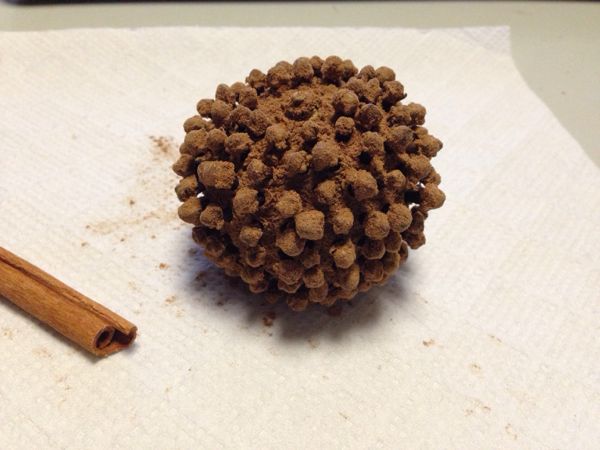 rblog-20140129180145-02.jpg