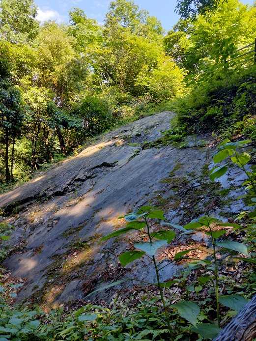 金鑚神社（かなさなじんじゃ）から御嶽山・御嶽城跡 低山登山 | 家一軒を解体してみたら いろいろやってみたくなる - 楽天ブログ