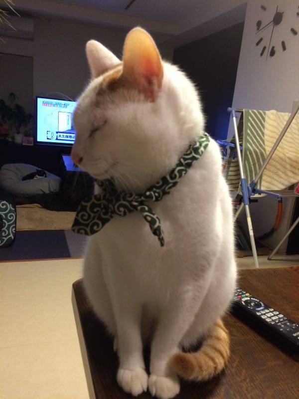 rblog-20141203062241-01.jpg