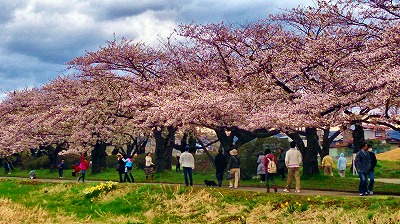 展勝地２