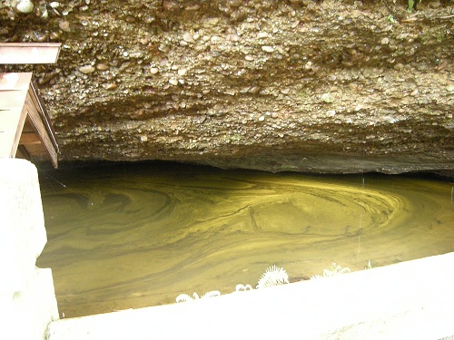 DSCN2608.JPG