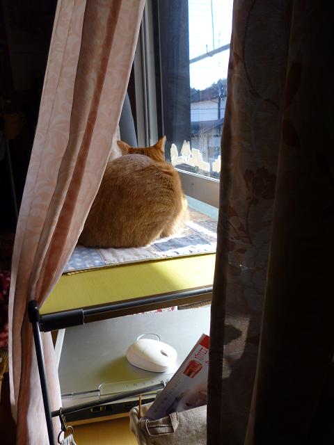 気になるまる