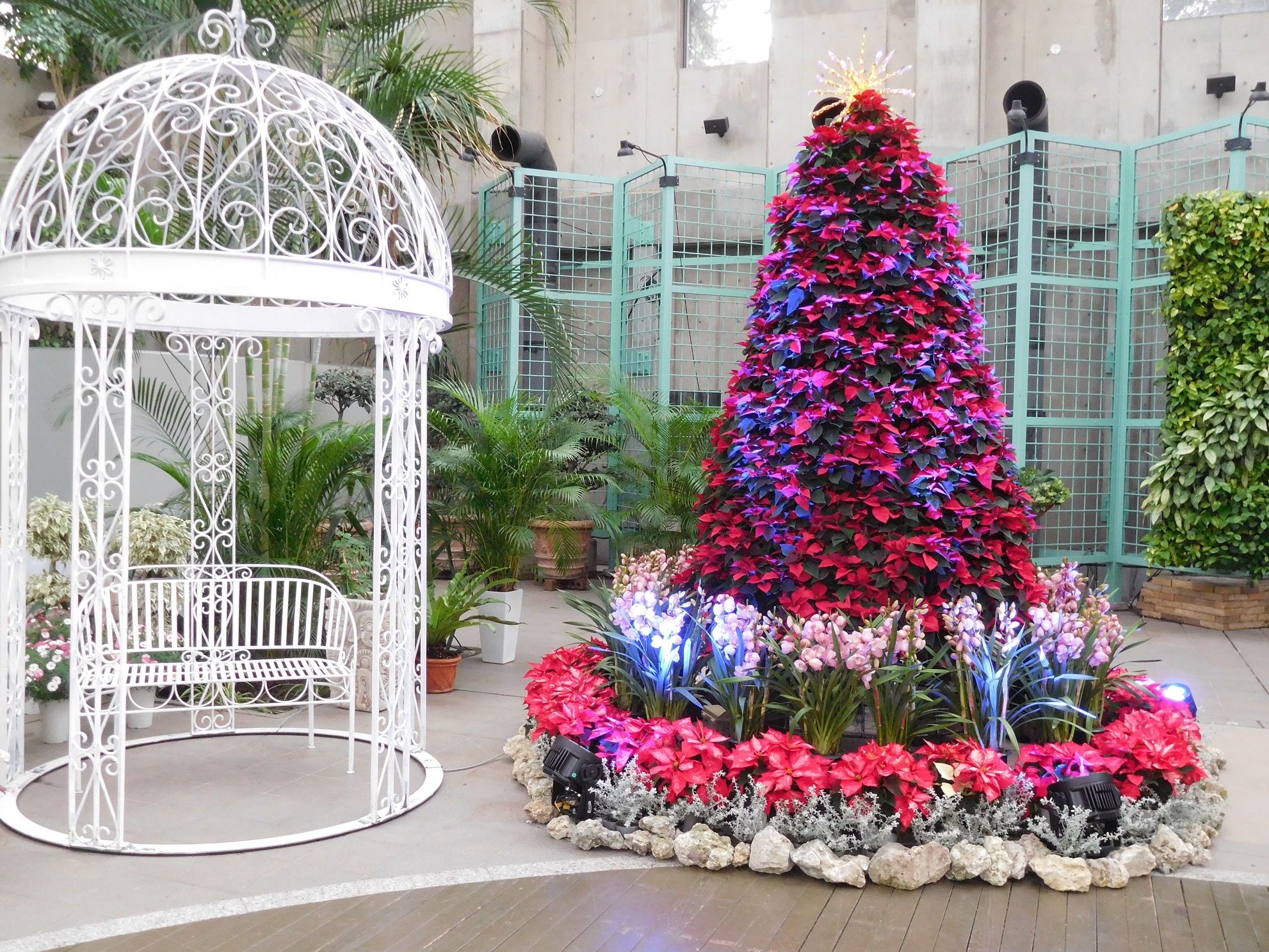 11 22の久屋大通庭園フラリエ その2 クリスマスの準備 ｔｅａ ｇａｒｄｅｎ ちょっとひとりごと 楽天ブログ