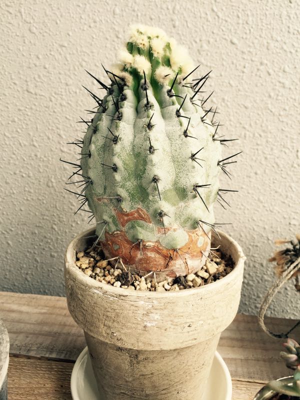 rblog-20150819105437-02.jpg