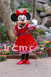 IMG_8834.jpg