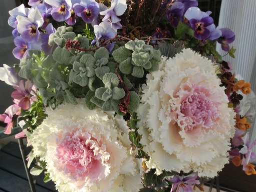 ハンギング寄せ植え