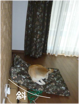bed茶5.jpg