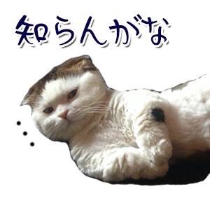 002.JPG