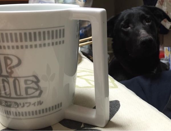 rblog-20150106134644-01.jpg