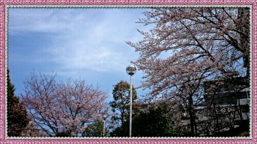 rblog-20160331214840-01.jpg