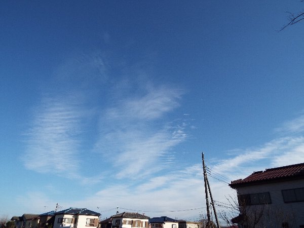 DSCF6540.JPG
