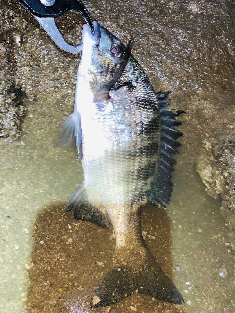 スランプ脱出か Middle Aged Fisherman 楽天ブログ