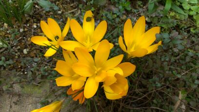 rblog-20140318160705-00.jpg
