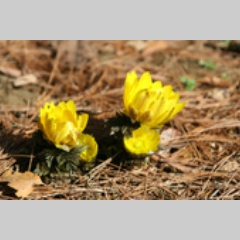 20130130202409.jpg