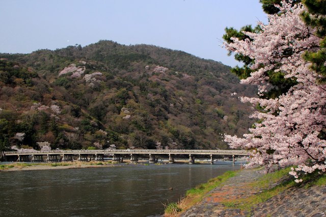 渡月橋.jpg