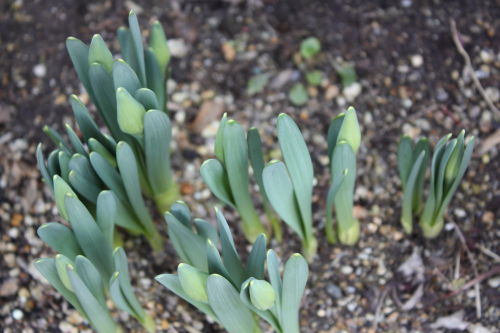 2015030204.JPG