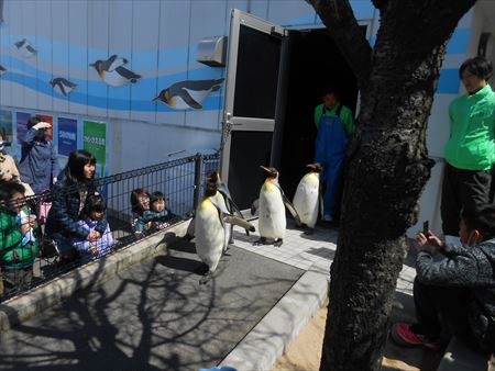 越前松島水族館