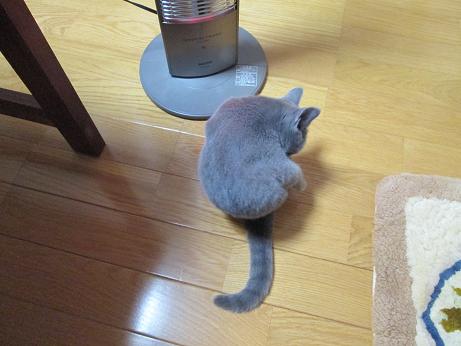 あたたまります２.JPG