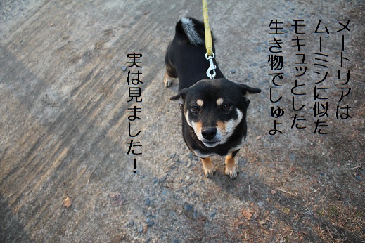 みました
