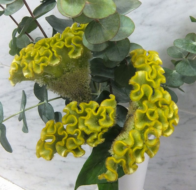 DSCF2795.JPG