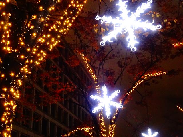 DSC08972_R.JPG