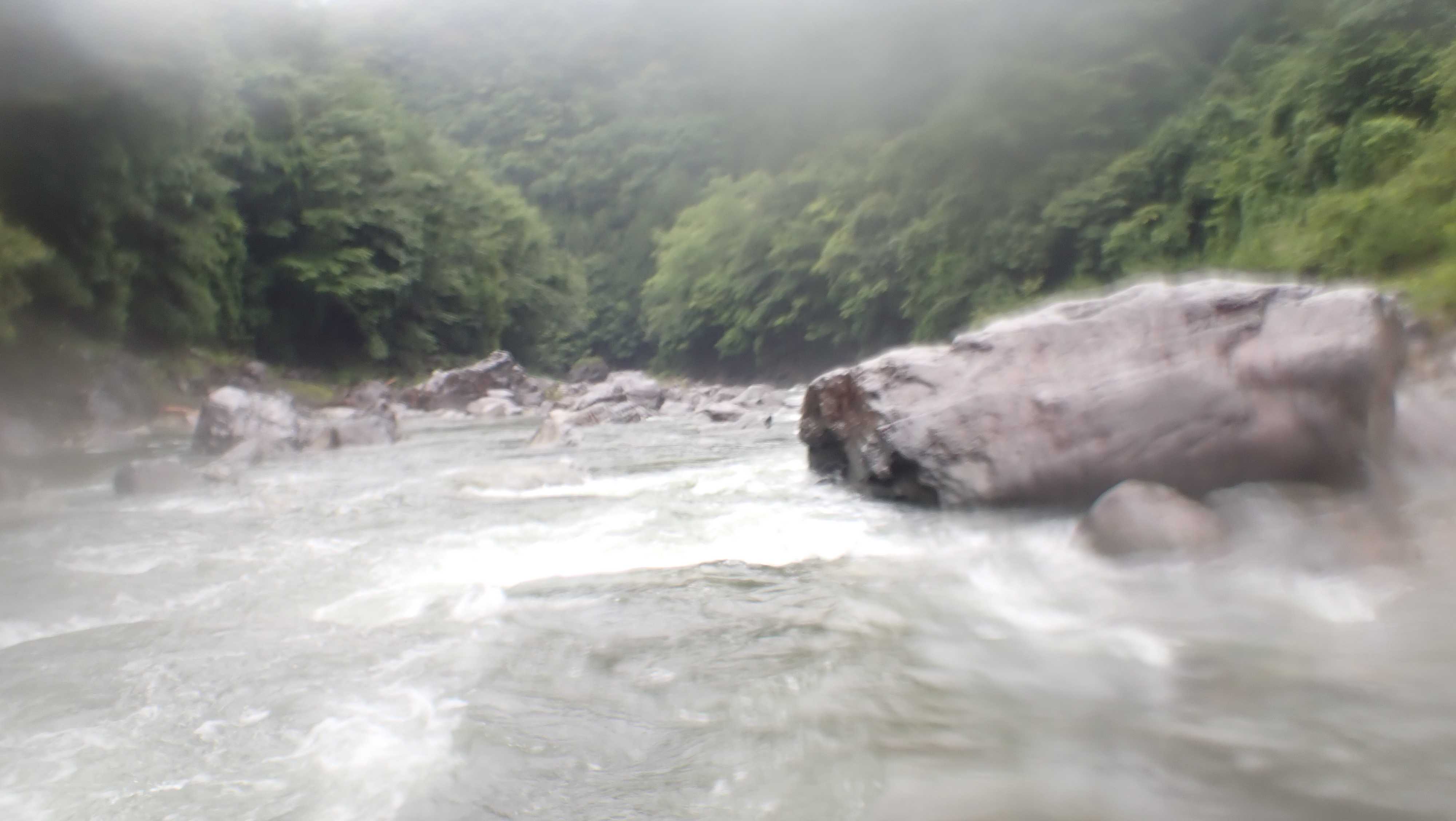 雨の中～奈良県・十津川 | 「おいやん」の鮎掛け - 楽天ブログ