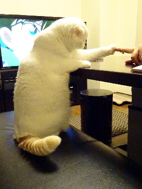 20151021etkoyuki.jpg