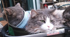 DSC_5065-4.jpg