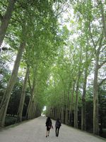 シュノンソー城.jpg